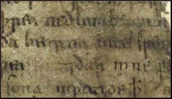 Manuscript Fragment